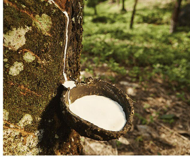 Phoenix 
 az latex mattress